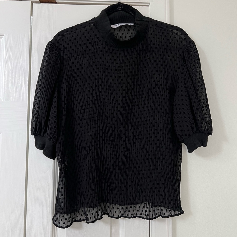 Zara Sheer Polka Dot Blouse